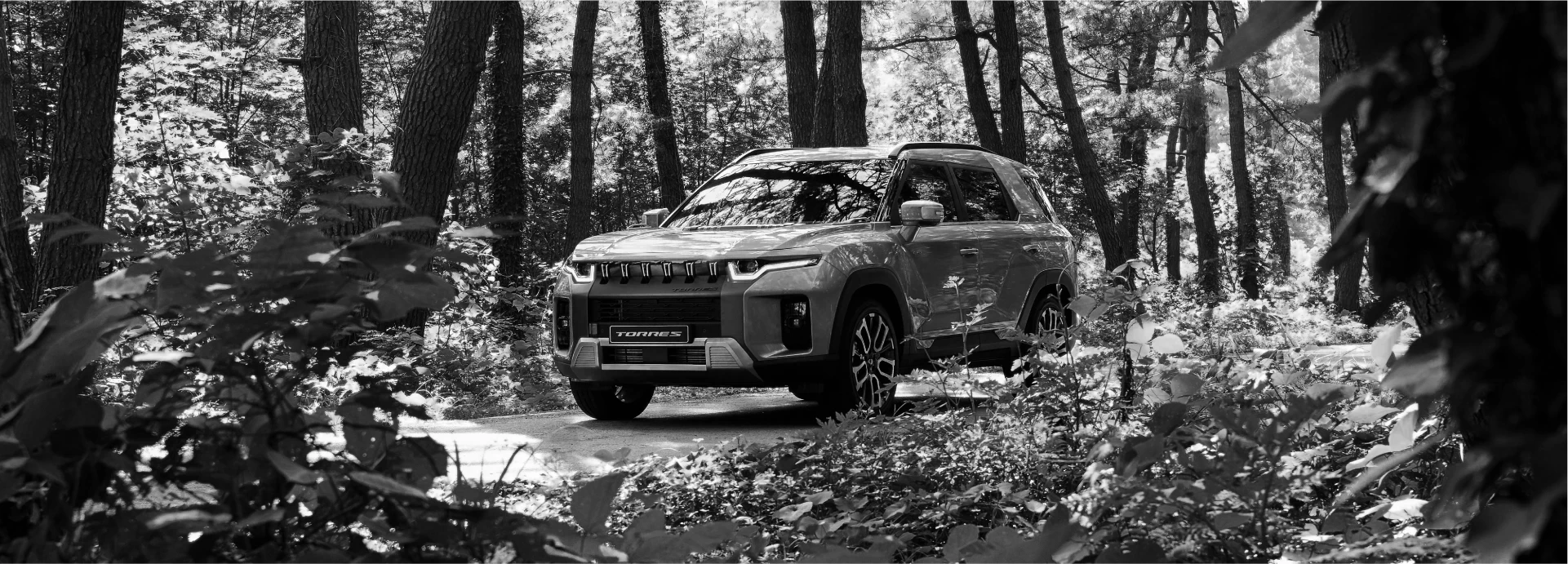 KGM Modelo Torres Sin Seleccionar